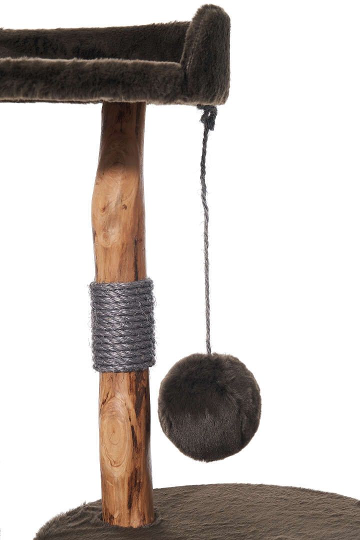 Nobby Kratzbaum Gena